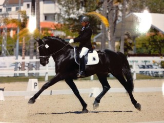 montado-320x240
