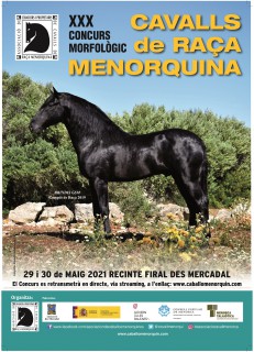 Cartell XXX Concurs Morfologic - copia